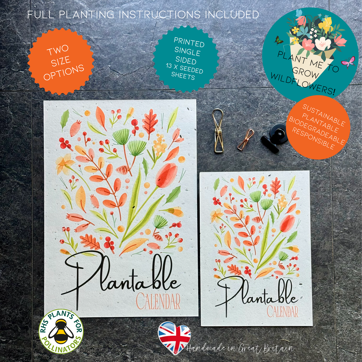 Plantable Calendar - Colourful