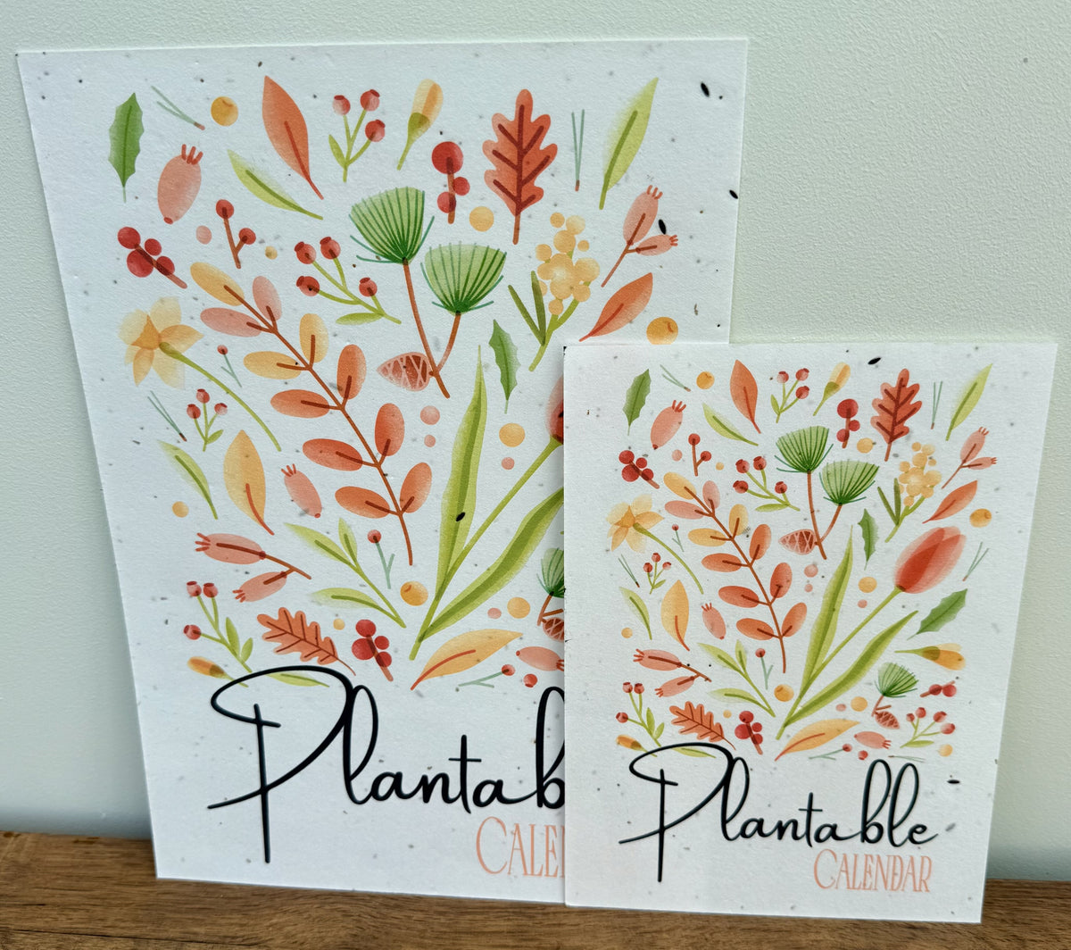 Plantable Calendar - Colourful