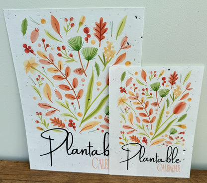Plantable Calendar - Colourful