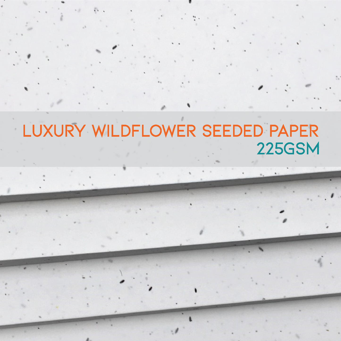 Luxury Seeded Paper Sheets