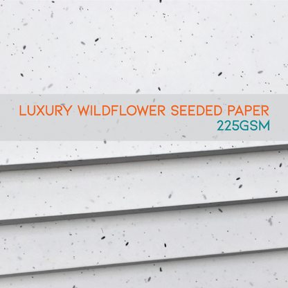 Luxury Seeded Paper Sheets