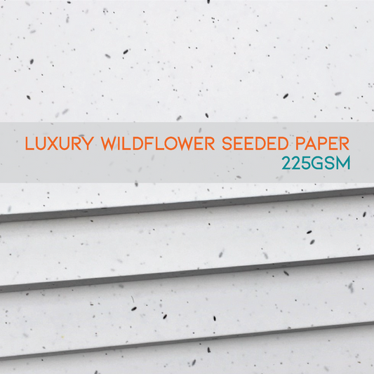 Luxury Seeded Paper Sheets